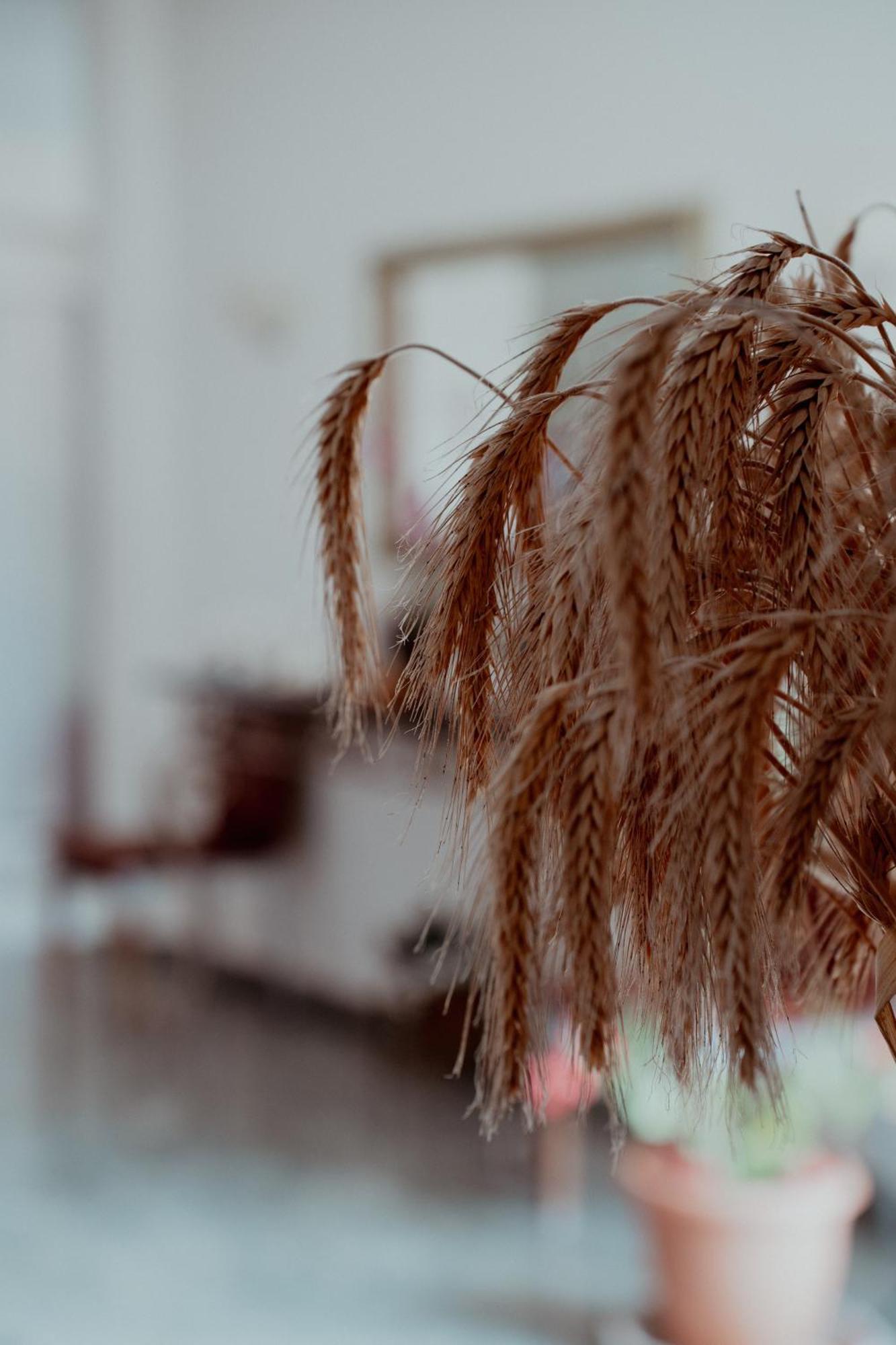 Coralli Hotel Perdika  Ngoại thất bức ảnh